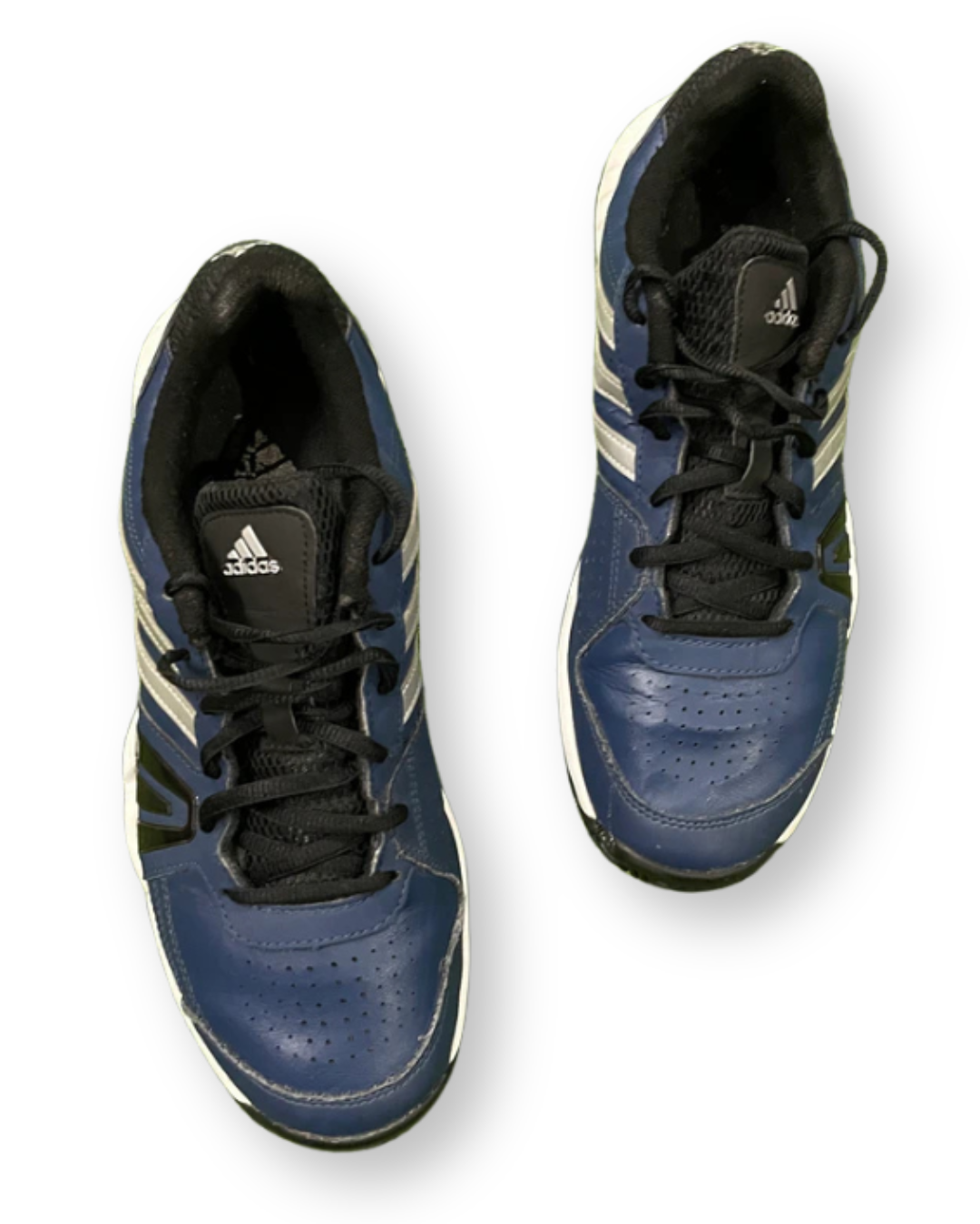 Adidas sportswear Bercuda 3