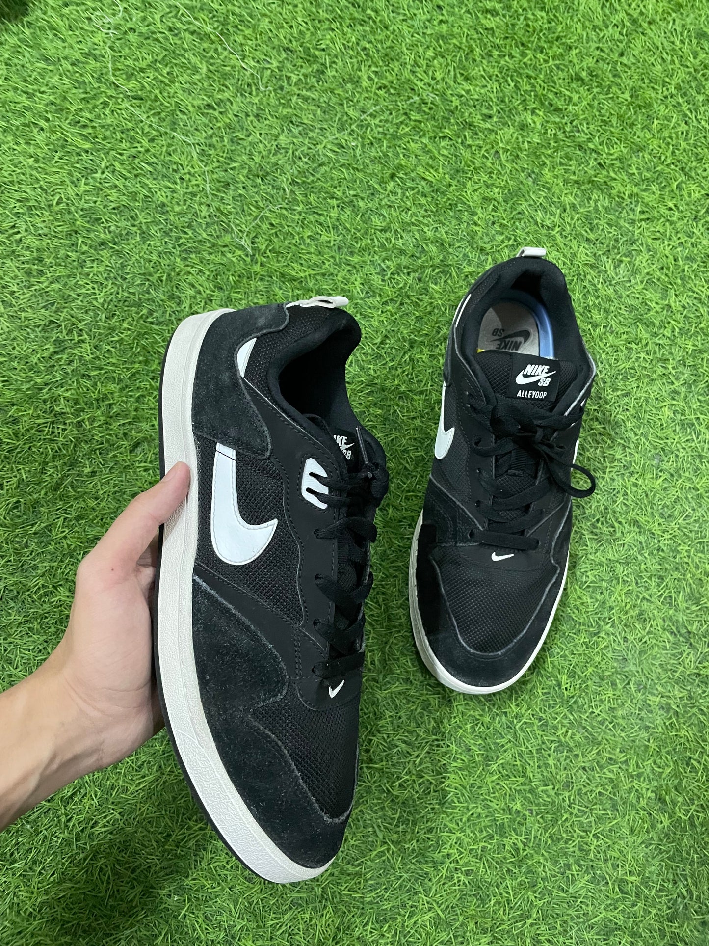 Nike Sb Alleyoop